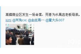 浮山为什么选择专业追讨公司来处理您的债务纠纷？